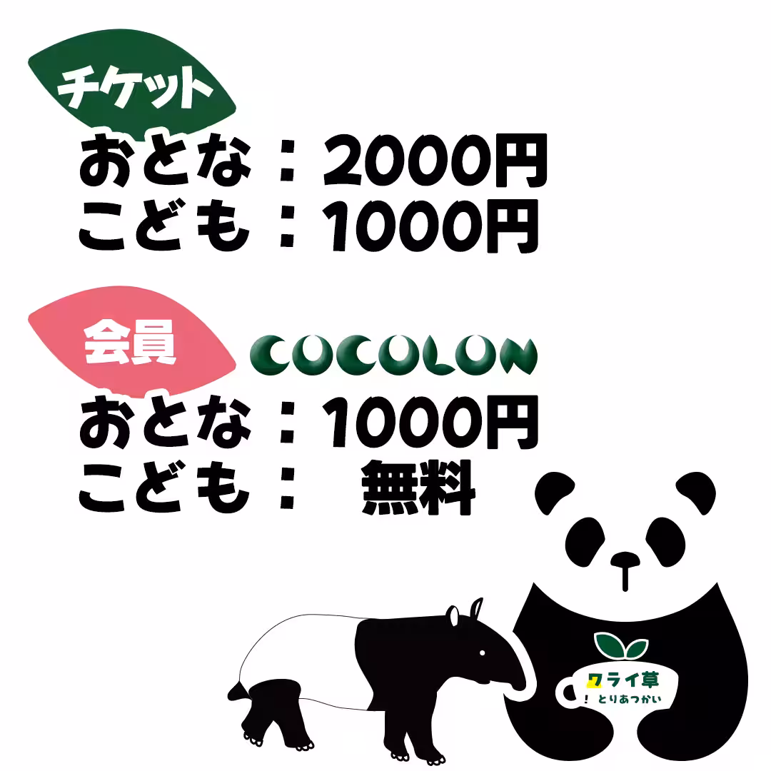 画像12