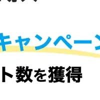 ミッケラーの挑戦