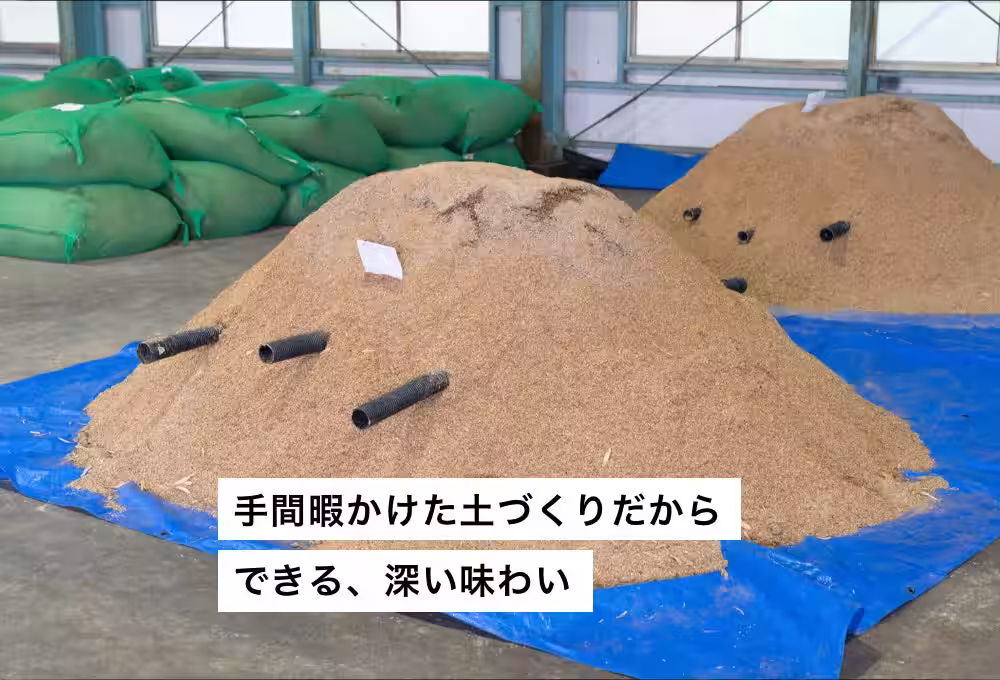 画像9