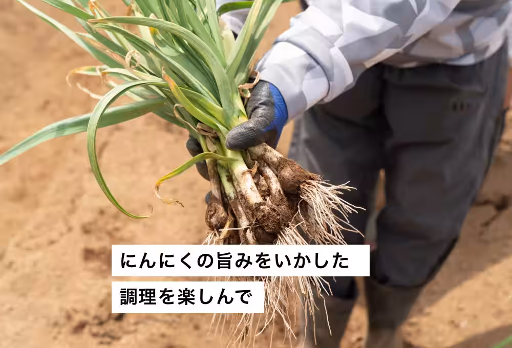 画像11