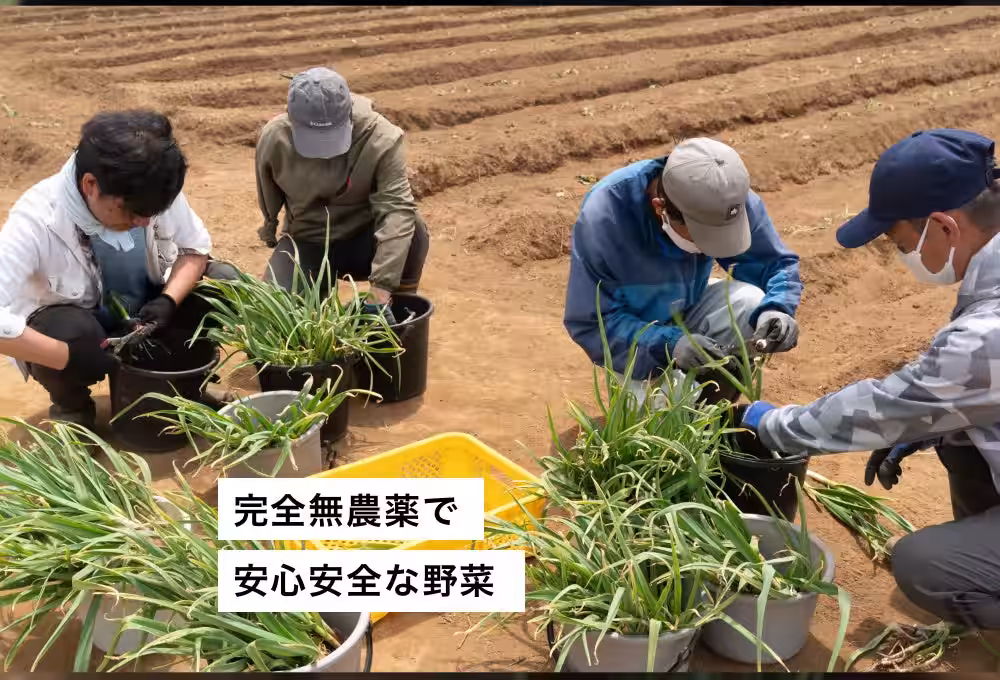 画像8