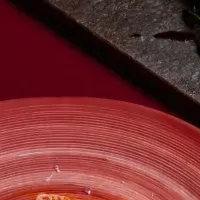 秋の味覚を満喫