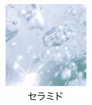 画像13