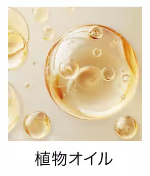 画像15
