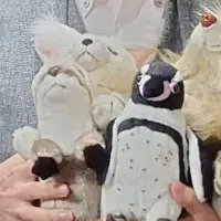 動植物園とのパートナー