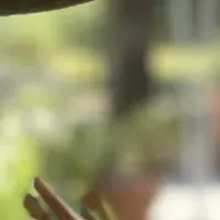 舞洲のガーデンバー