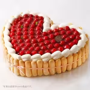 画像15
