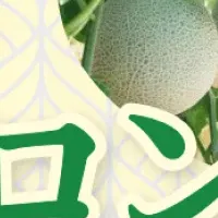 メロン狩りバスツアー