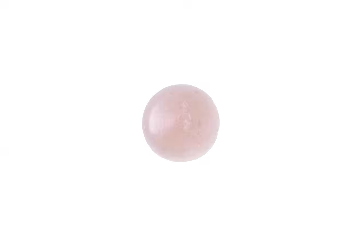 画像20