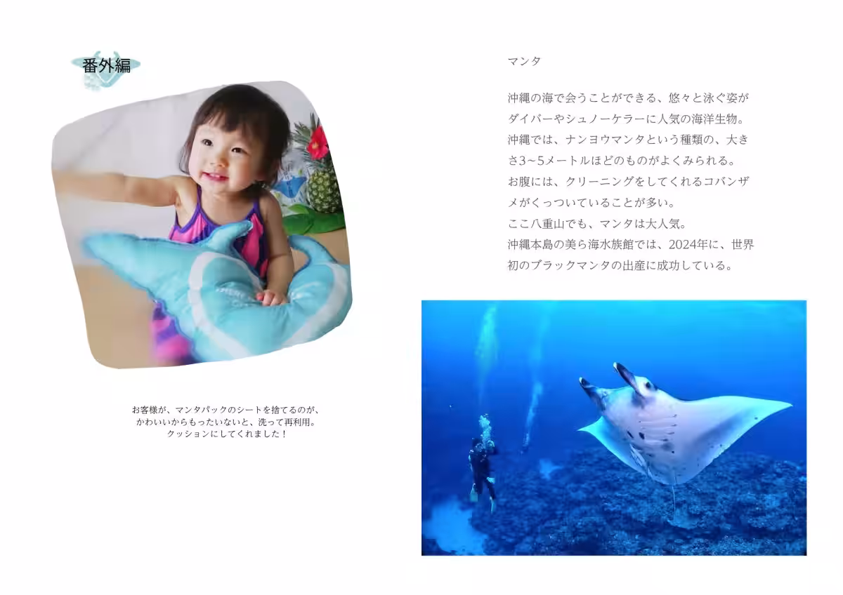 画像17