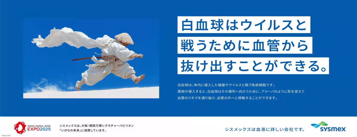 画像12