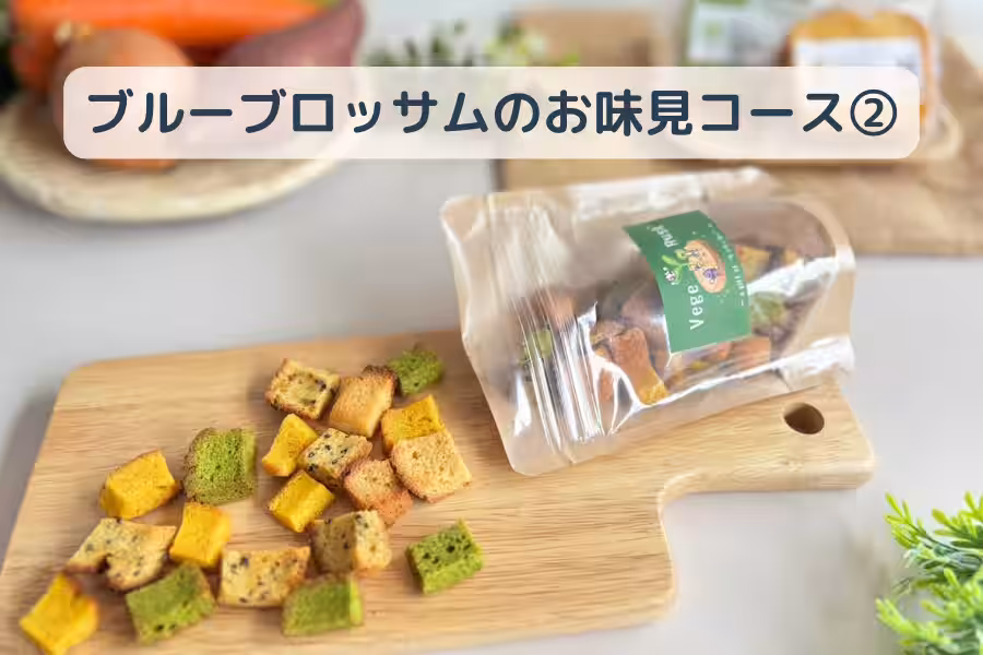 画像10