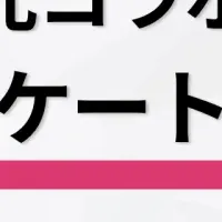 光コラボの魅力