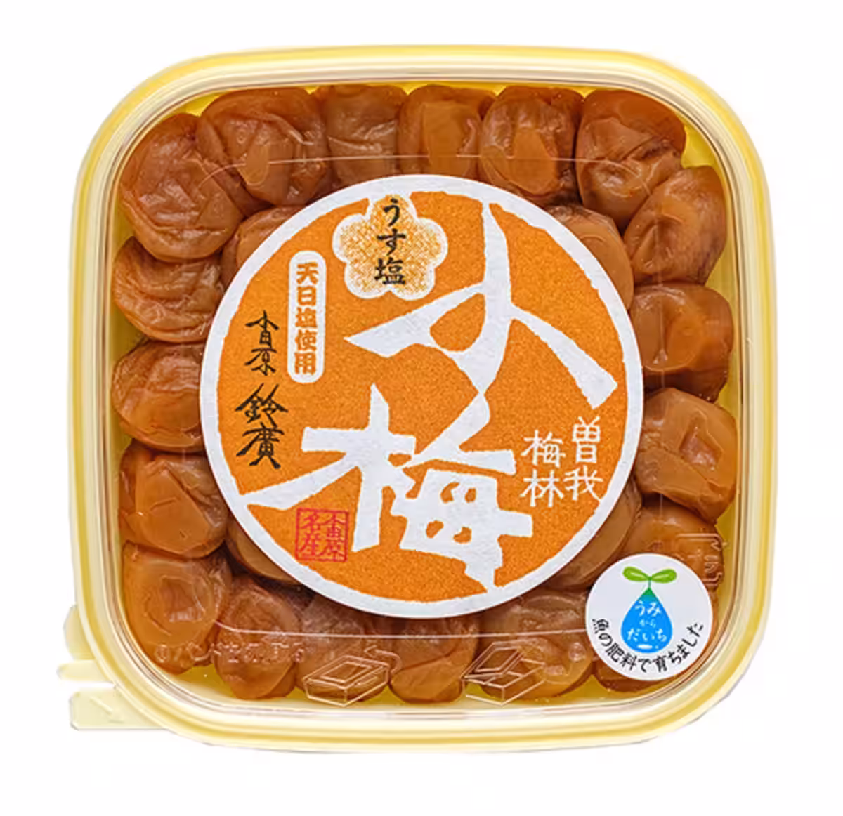 画像9