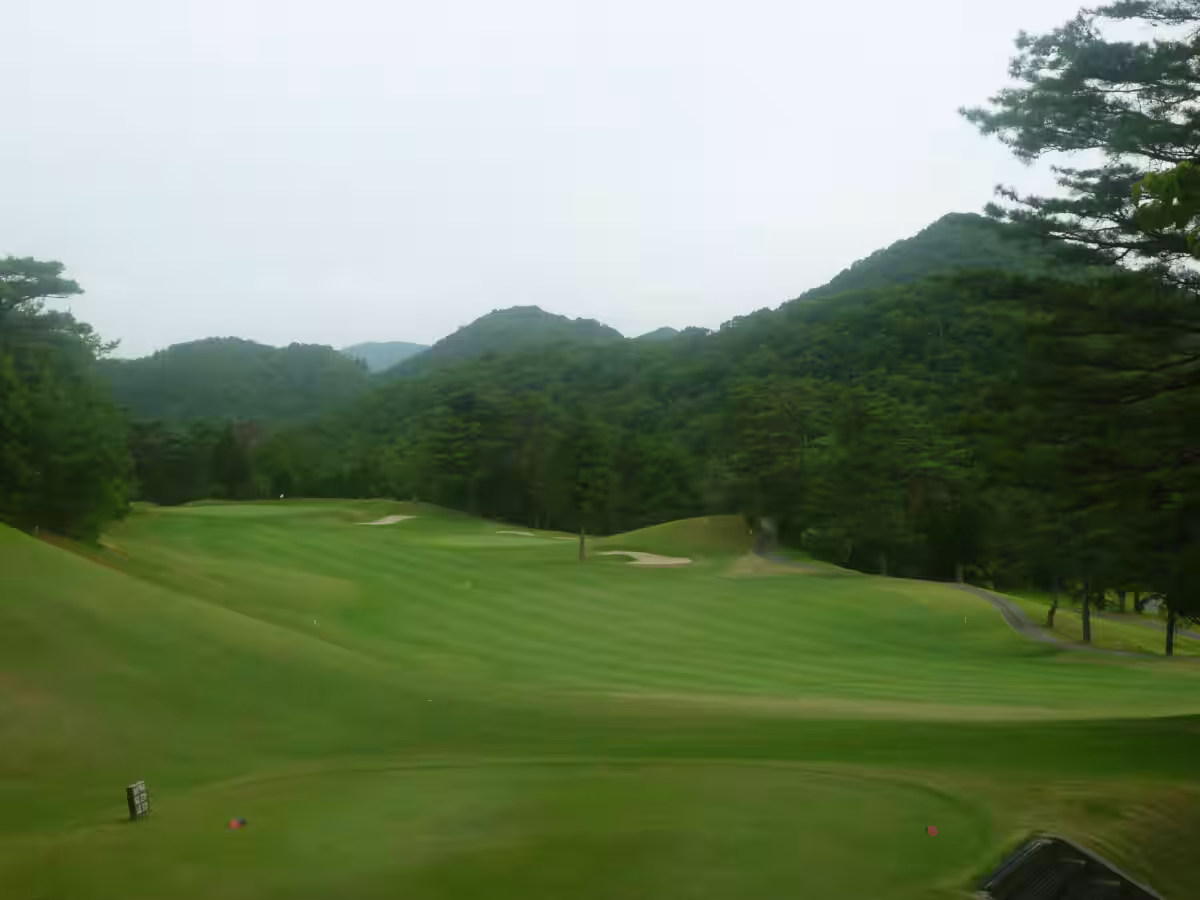 画像6
