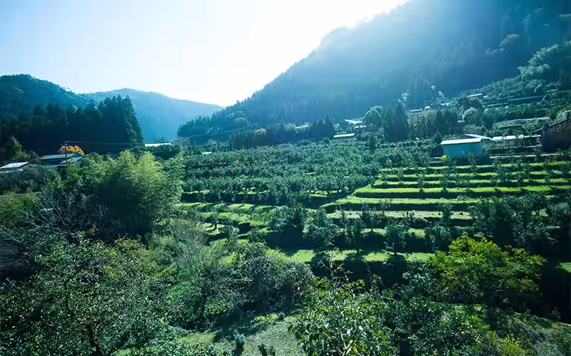 画像9