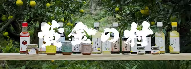 画像7