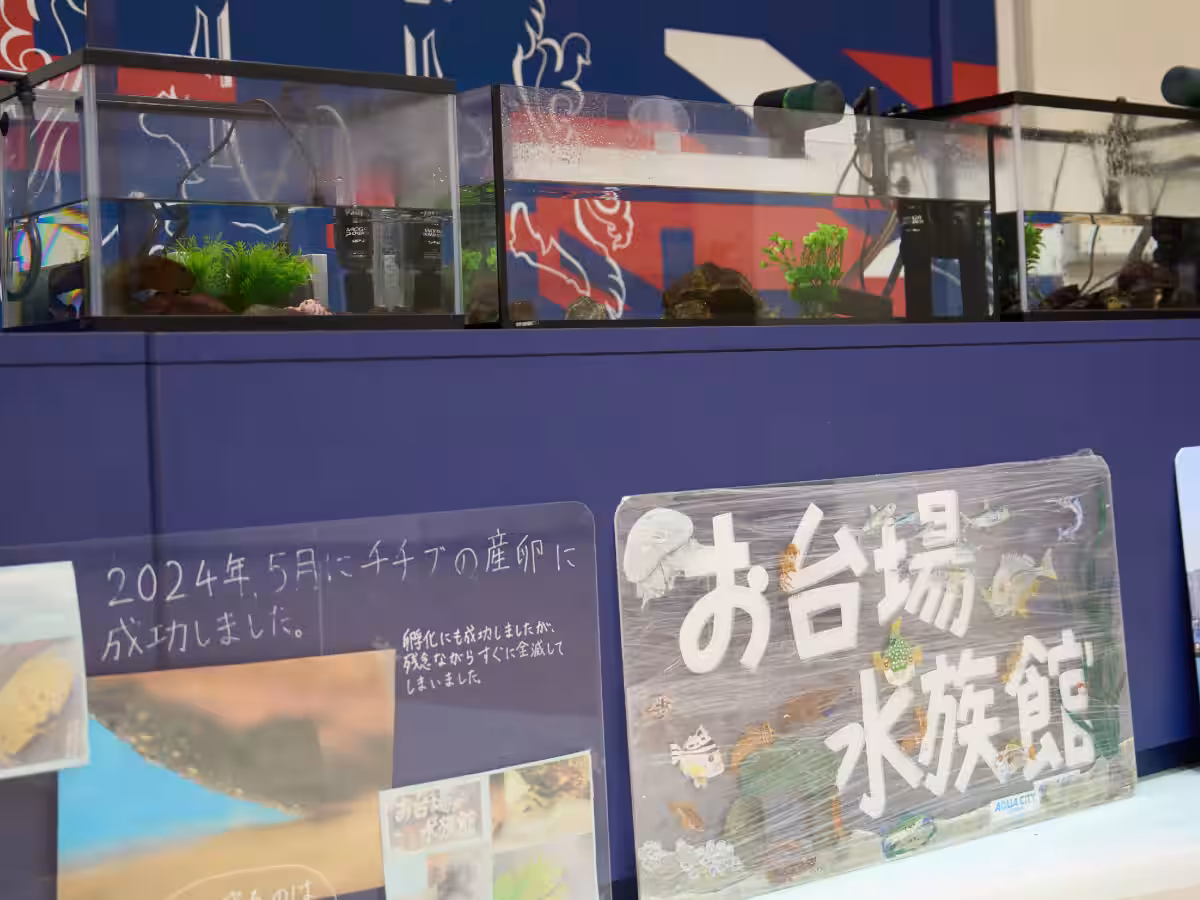 画像7