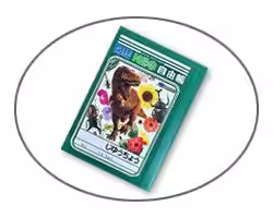 画像14