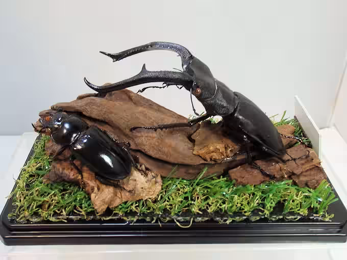 画像7