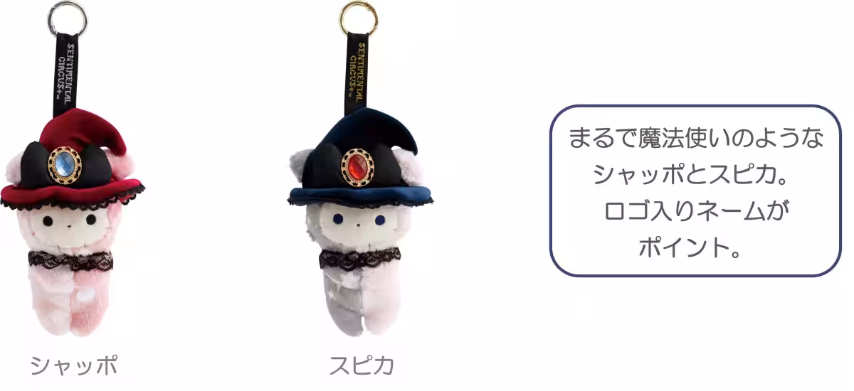 画像20