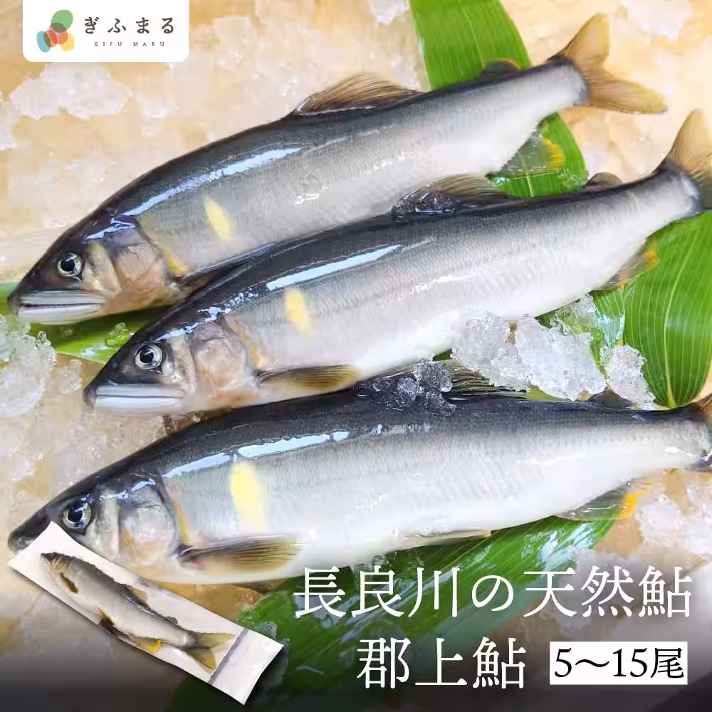 画像11
