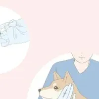 愛玩動物看護のeラーニング