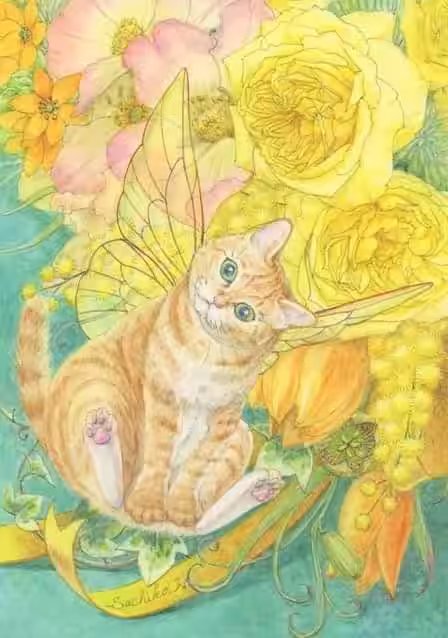 画像24