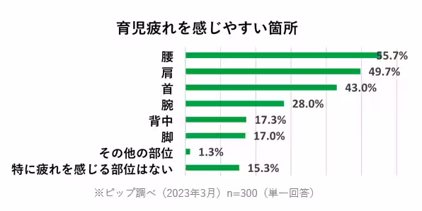 画像17