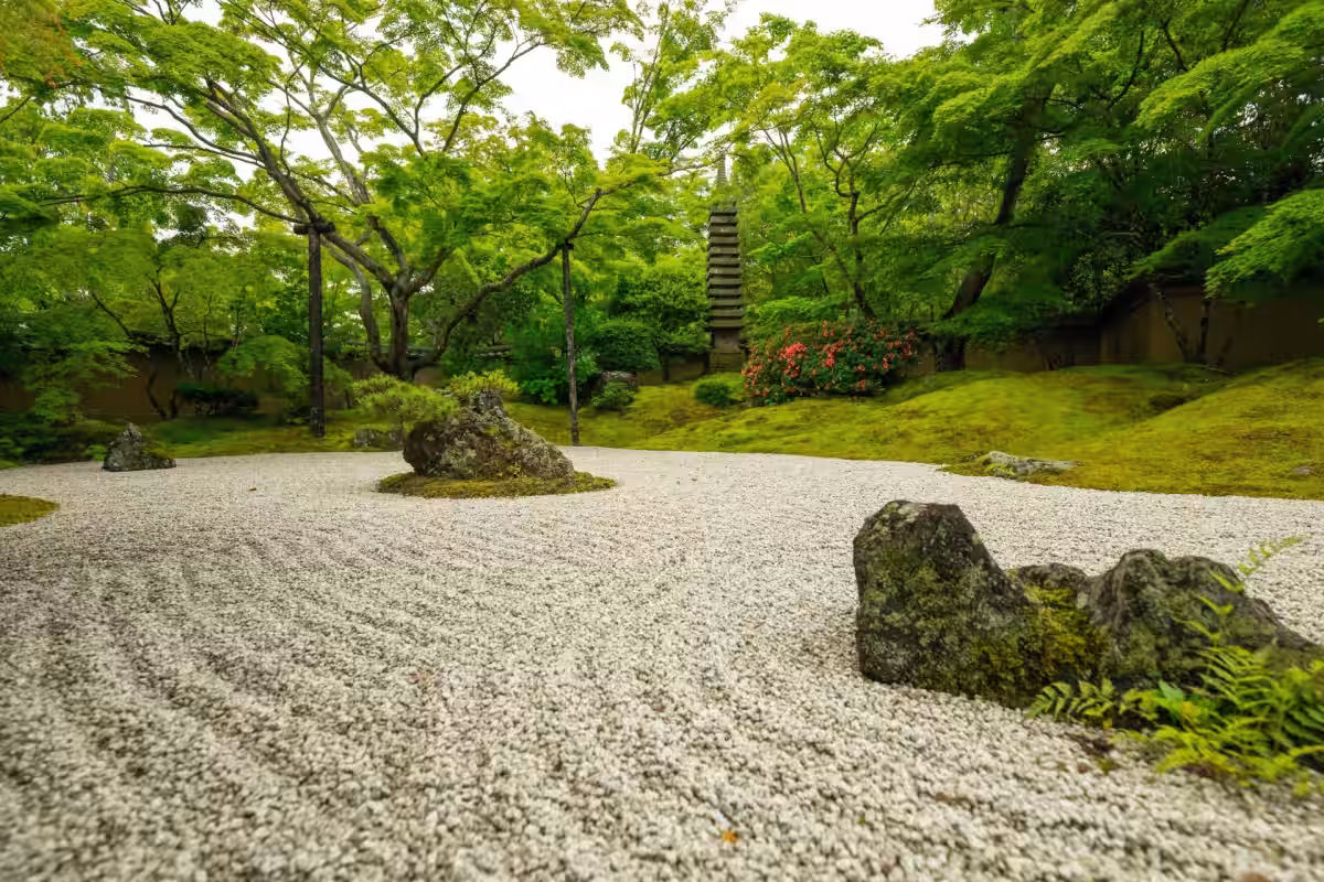 画像14