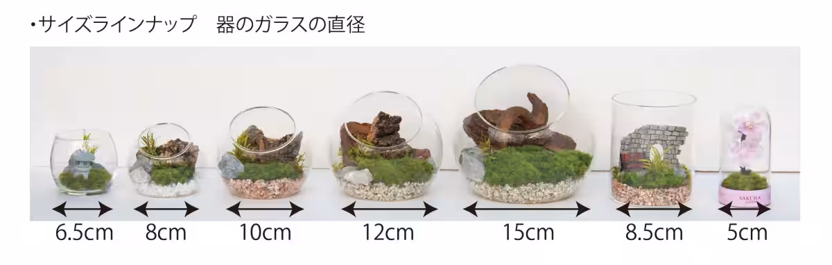 画像22
