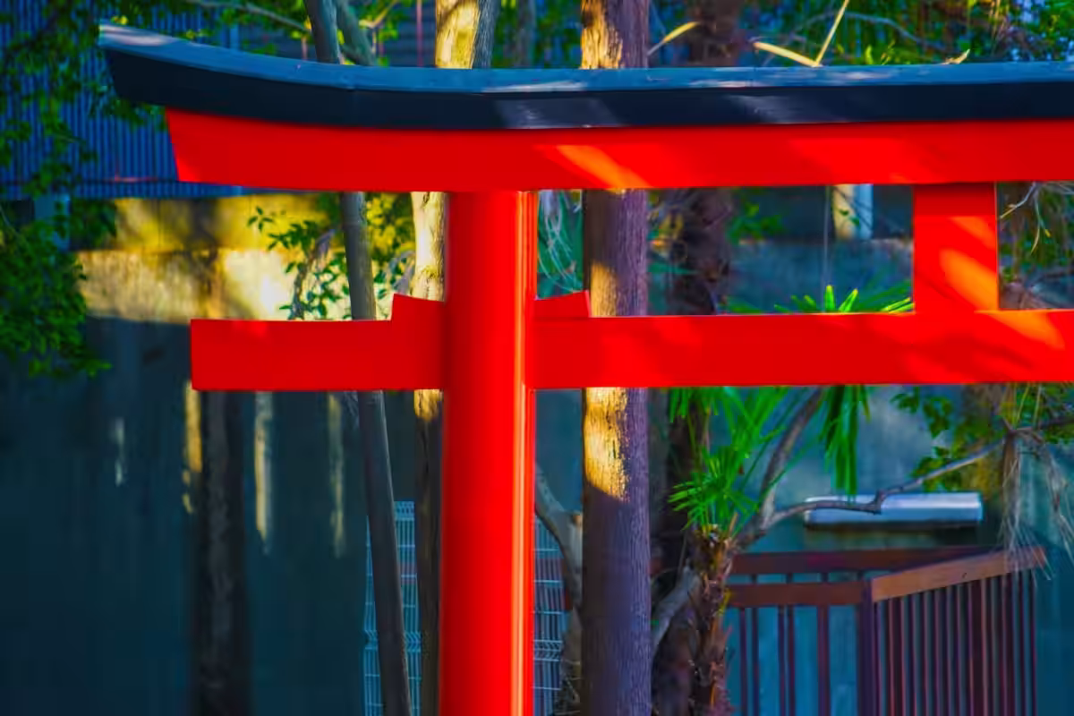 画像12