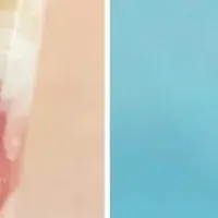 食べられる宝石