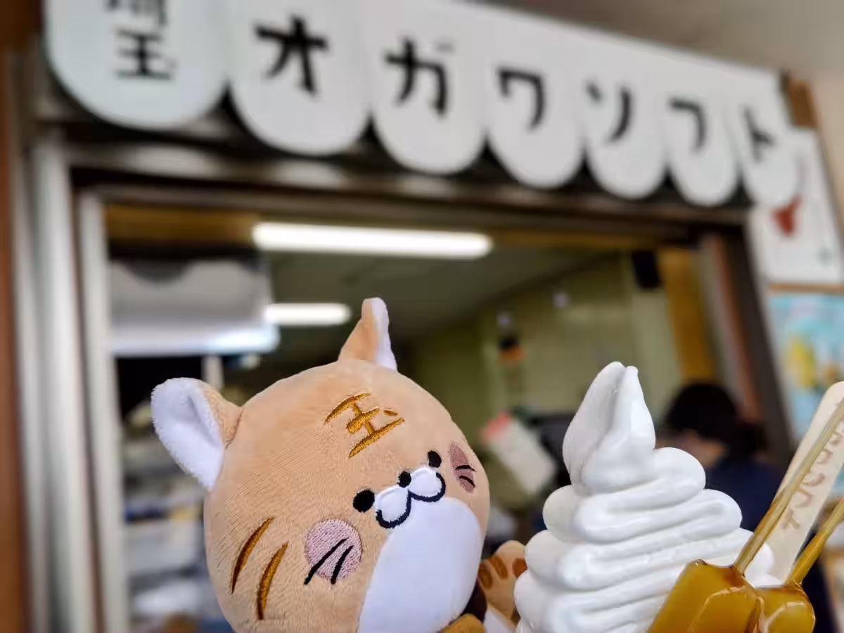 画像3