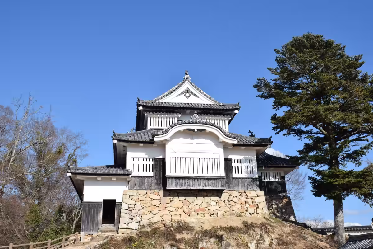 画像3
