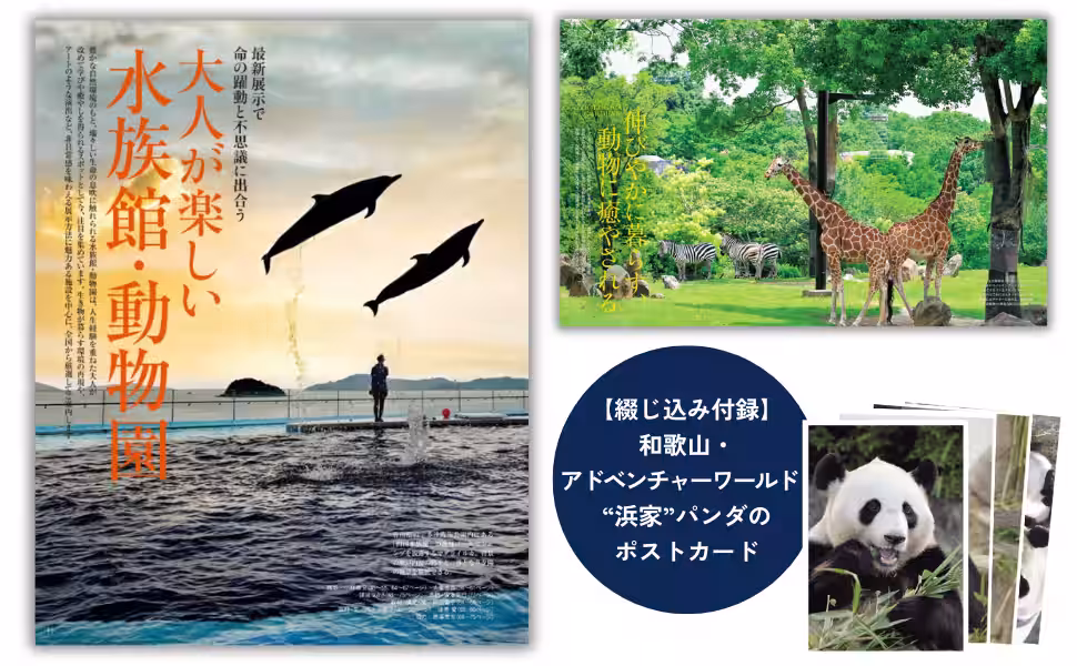 画像8
