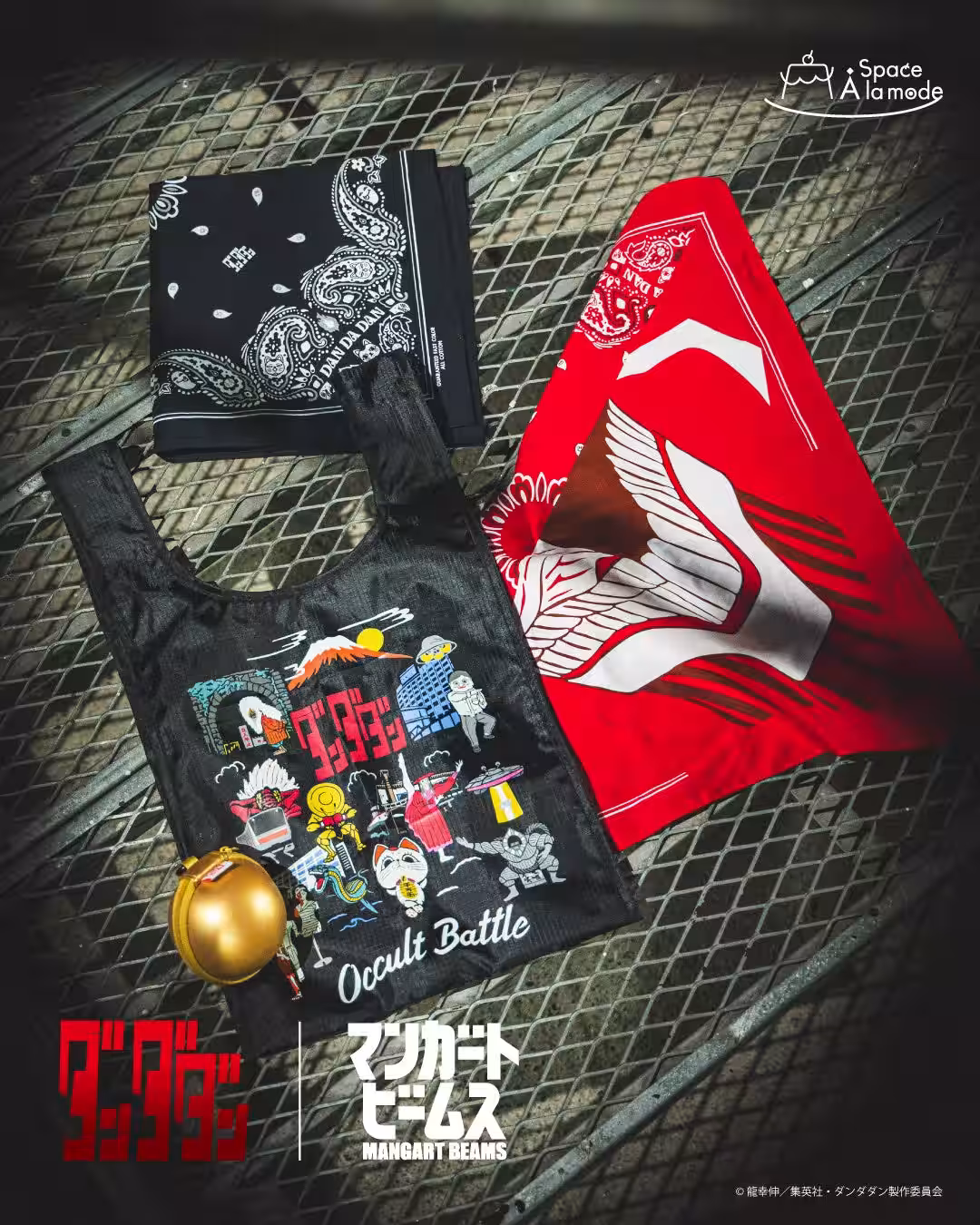 画像4