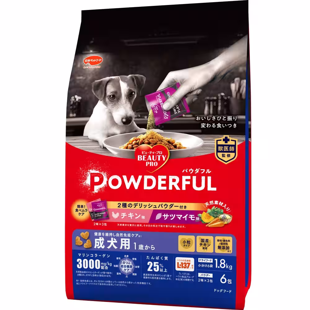 画像8