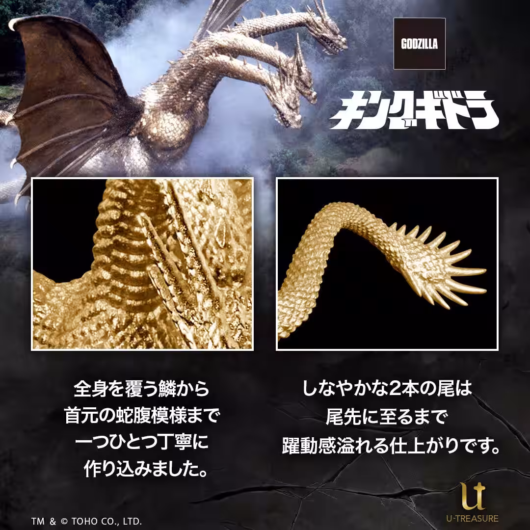 画像19