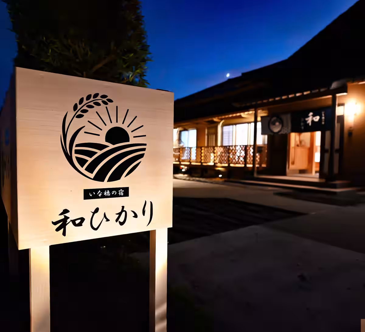 画像14