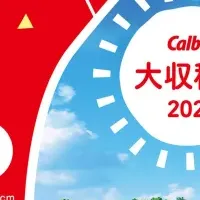 芦田愛菜と収穫祭
