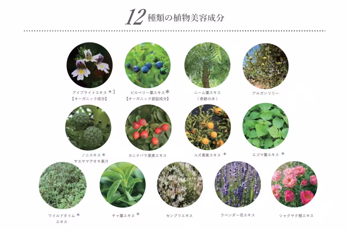 画像15