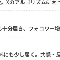 ホワイトペーパーがバズる理由