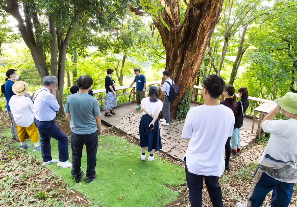 画像12
