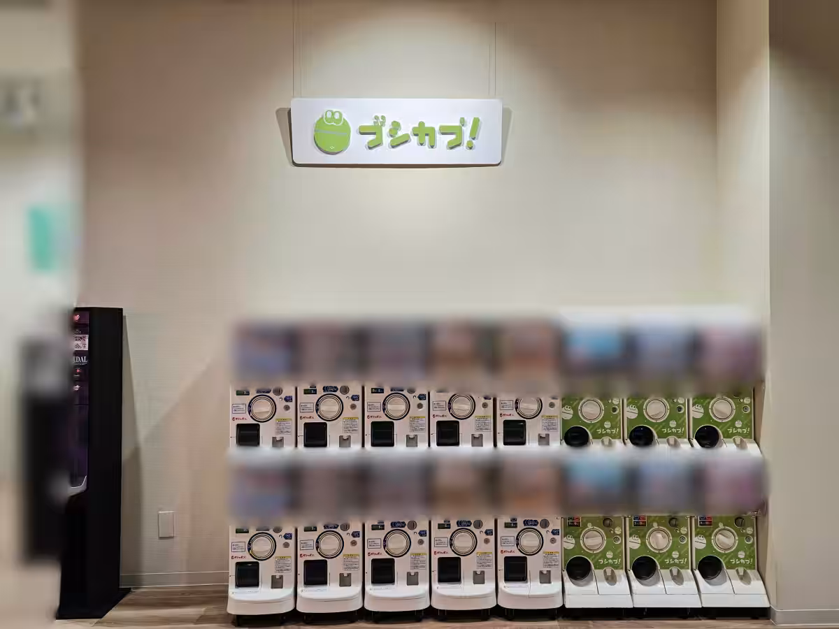 画像5