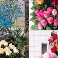 花と平和の活動