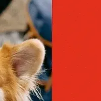 愛をつなぐ会社