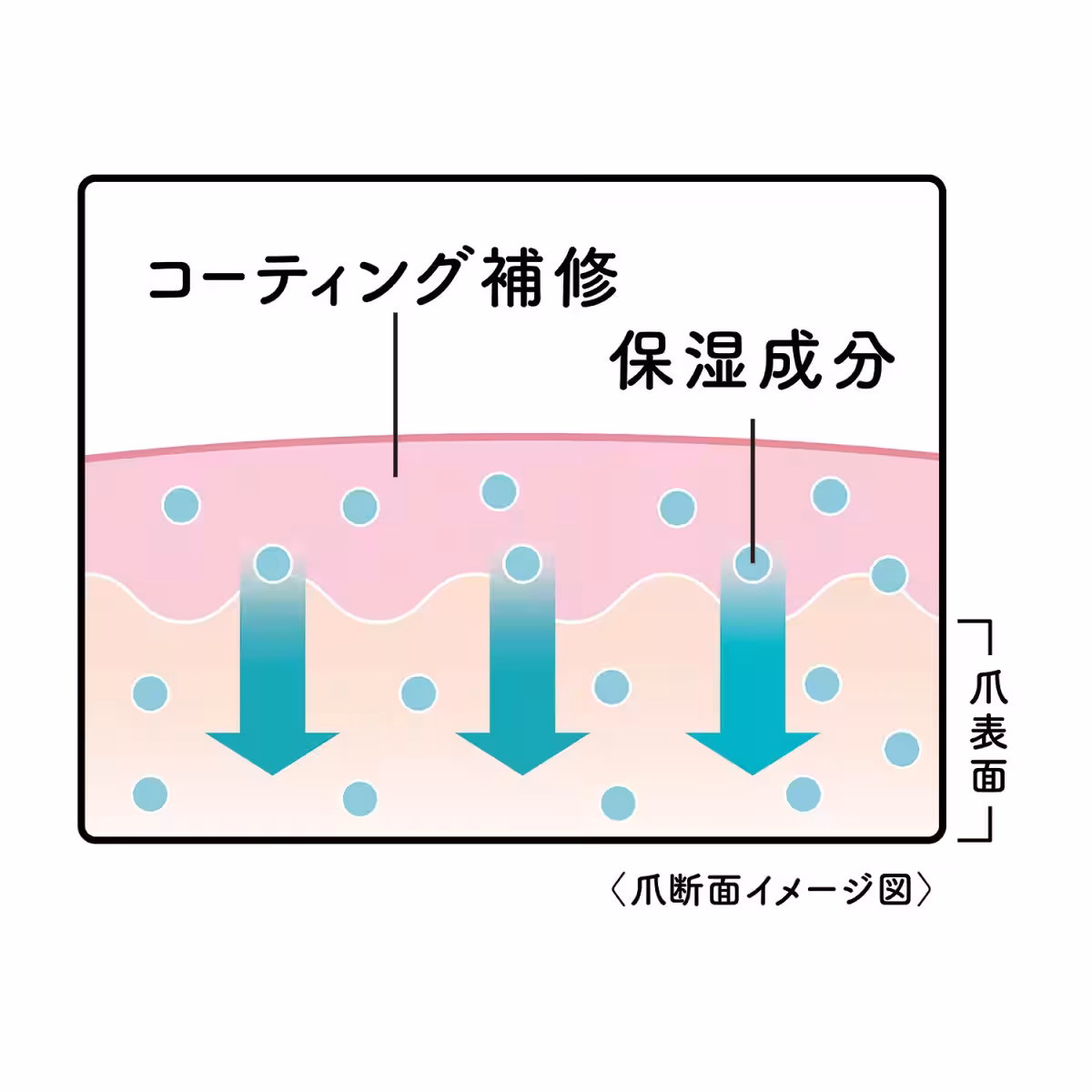 画像15