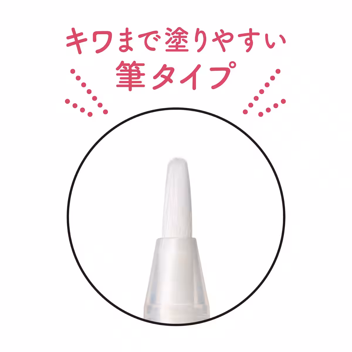 画像14