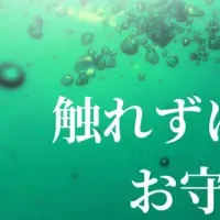 優しいミストで肌ケア